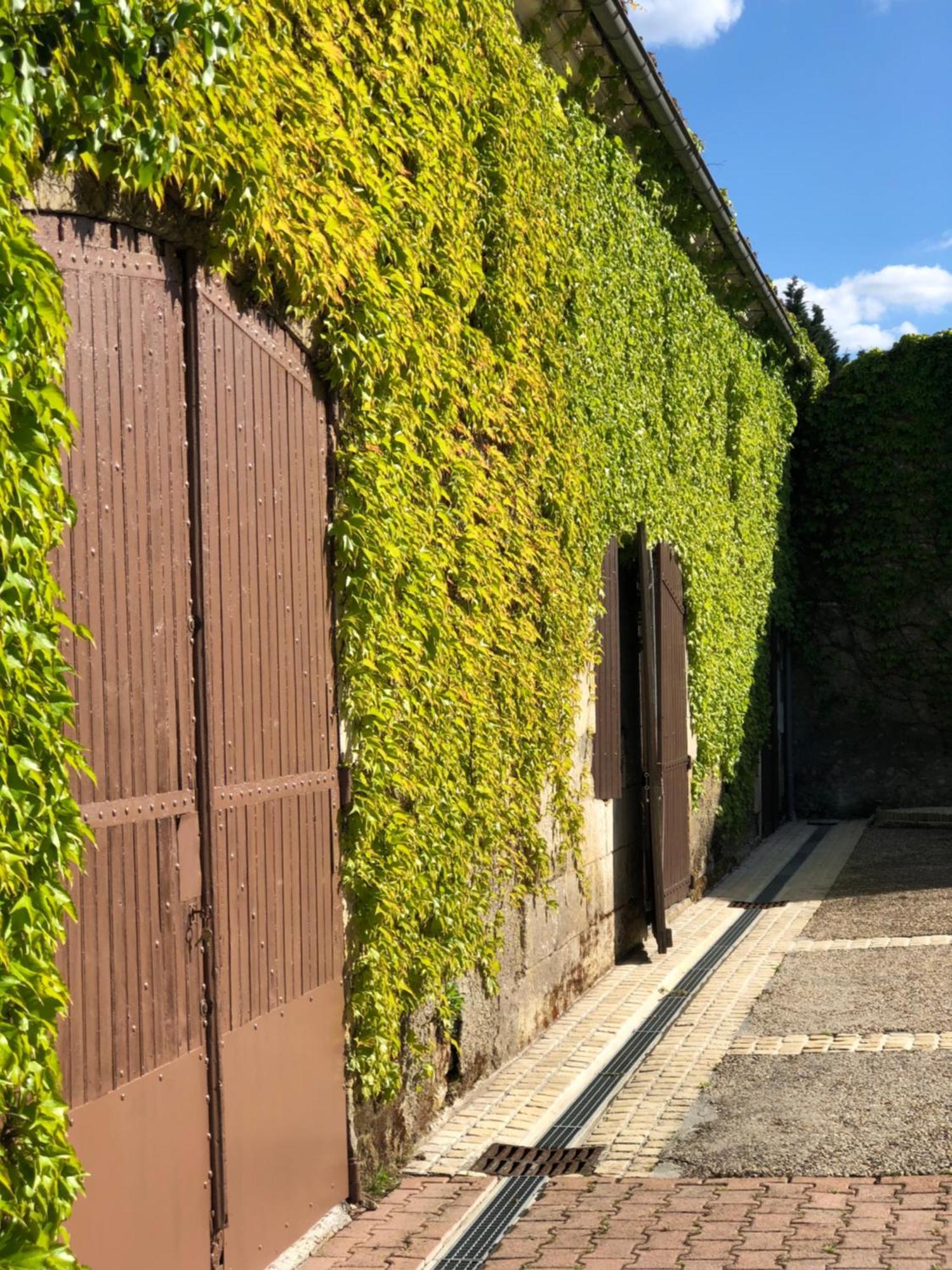 Hotel Le Domaine Du Haut Preau Saint-Palais-de-Negrignac Exterior foto